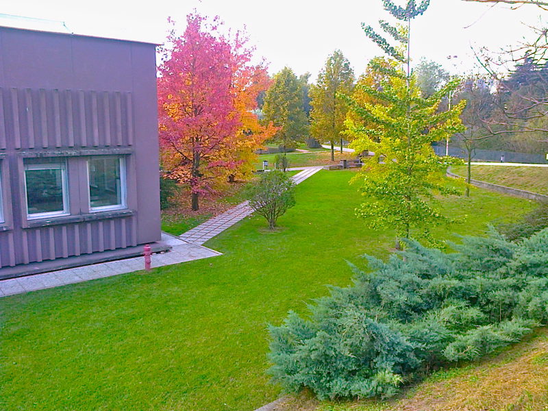 Polo di Borgo Roma dell'Università di Verona, autunno